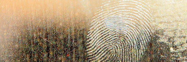 fingerprints