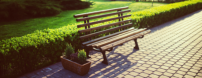 bench in the park