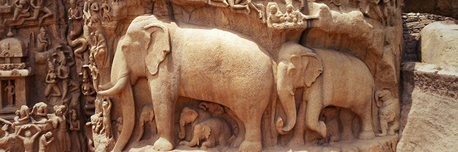 stone carved elephants