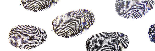 fingerprints