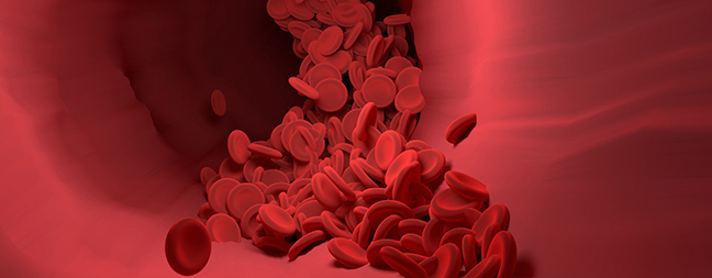 red blood cells