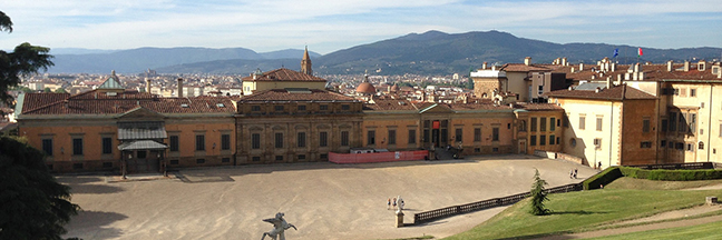 medici palace