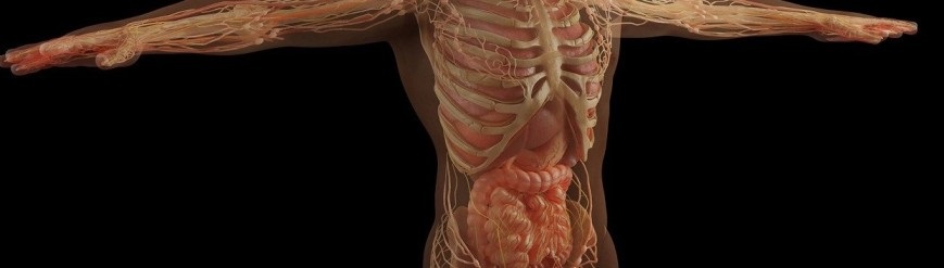 3D Laser Scanning Services and the Human Body